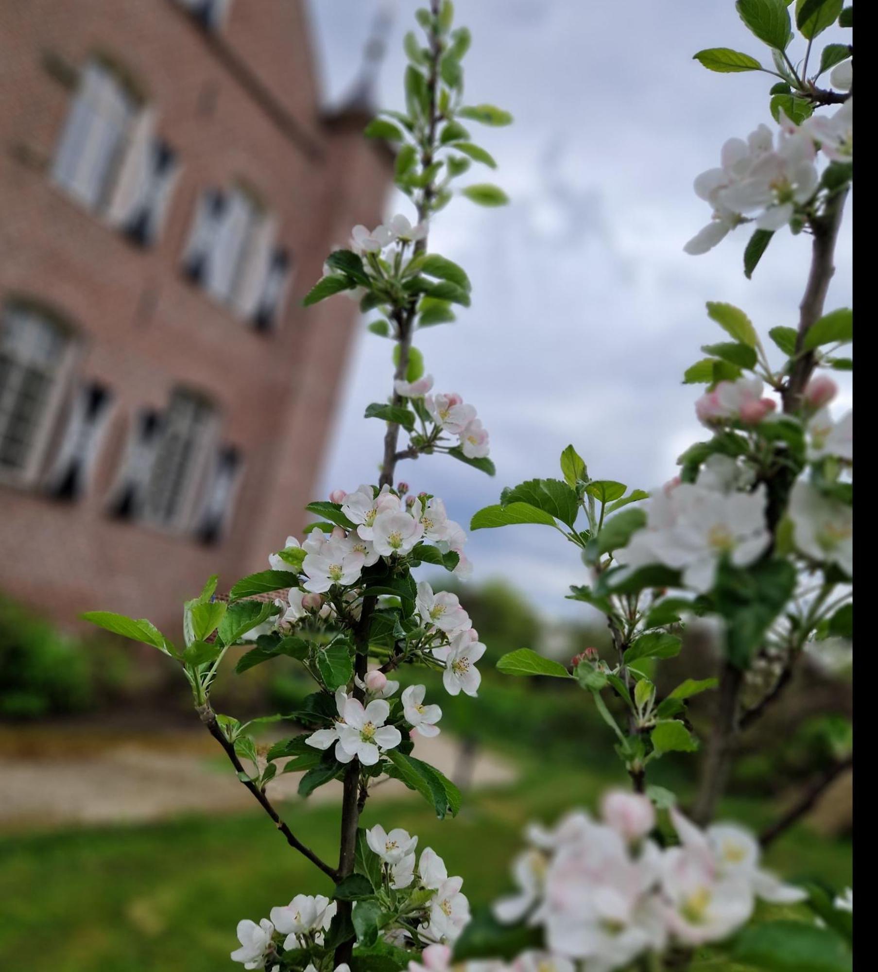 HaelenKasteel Aldenghoor住宿加早餐旅馆 外观 照片